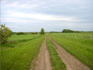 Access road, prior to reclamation June 2003